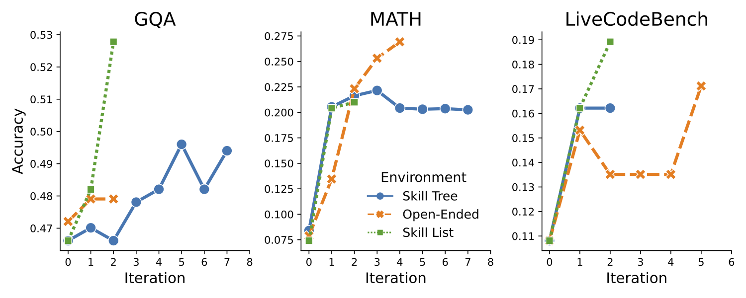 Training Dynamics Across Three Tasks